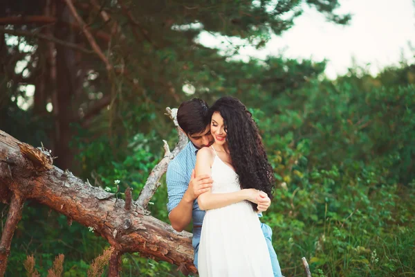 Paar in liefde wandelen in het bos — Stockfoto