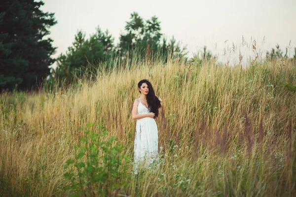 Menina bonita com cabelo preto no campo — Fotografia de Stock