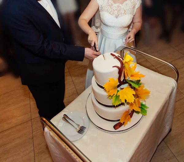 Noiva e noivo na recepção do casamento cortando o bolo de casamento — Fotografia de Stock