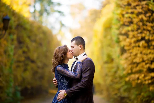 An image of bride and groom in forest, kiss, love — 图库照片