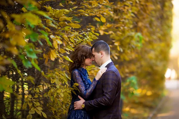 Casal de casamento. Bela noiva e noivo. Acabei de casar. Fechar u — Fotografia de Stock