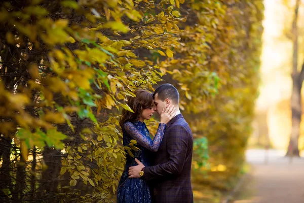 Casal de casamento. Bela noiva e noivo. Acabei de casar. Fechar u — Fotografia de Stock