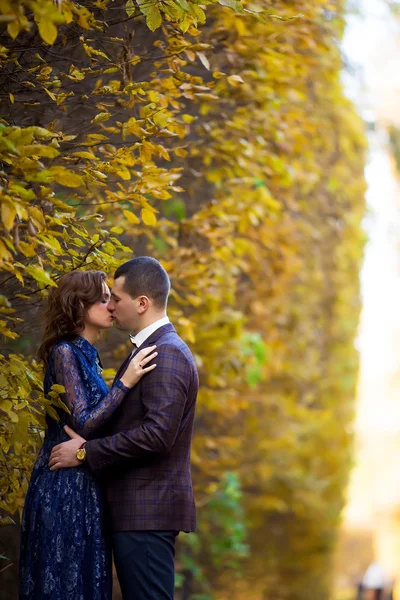 Piękny ślub para w parku. pocałunek i przytulić — Zdjęcie stockowe