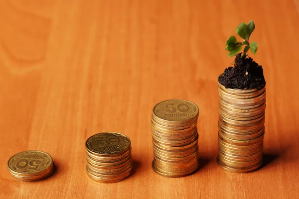 new green plant shoot growing from money