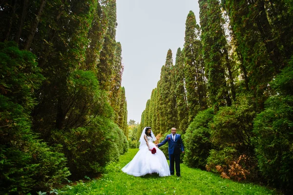 Luxo elegante jovem noiva e noivo no fundo primavera ensolarado floresta verde — Fotografia de Stock