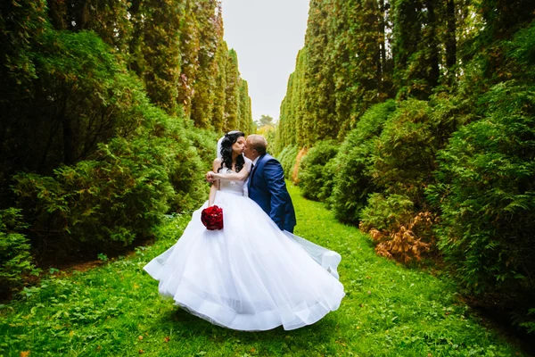 Pareja recién casada bailando en el campo. Retrato al aire libre de los novios — Foto de Stock