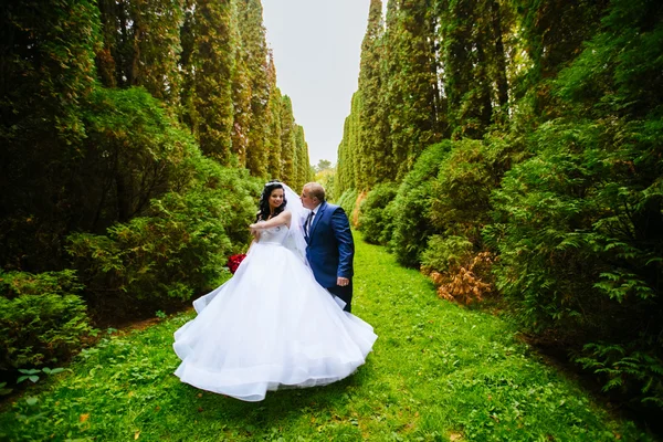 Luxe stijlvolle jonge bruid en bruidegom op de achtergrond lente zonnige groen bos — Stockfoto