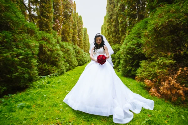 Dynamische Braut in einem prachtvollen Kleid mit Straußtanz — Stockfoto
