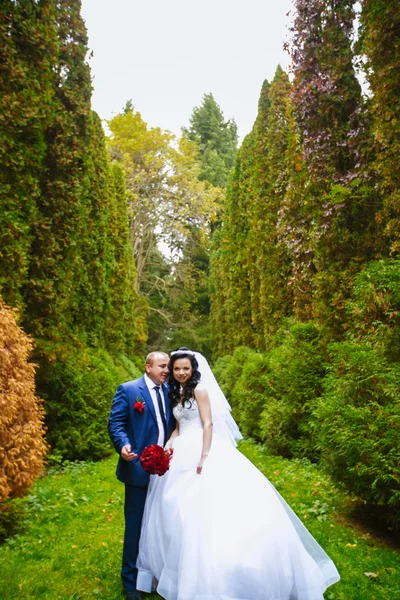 Sposo e sposa si tengono per mano sullo sfondo foresta verde — Foto Stock