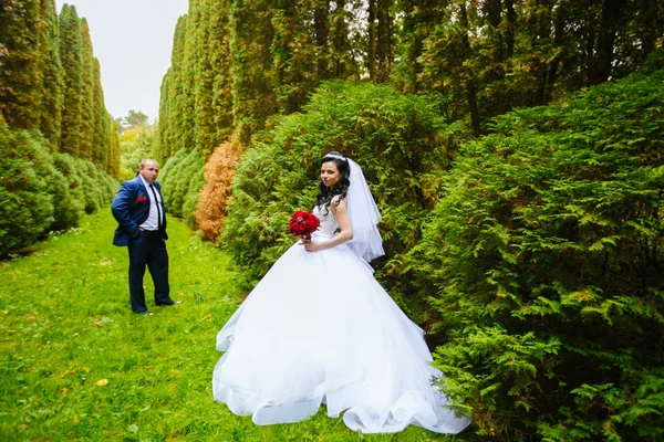 Luxus stilvolle junge Braut und Bräutigam im Hintergrund Frühling sonnigen grünen Wald — Stockfoto