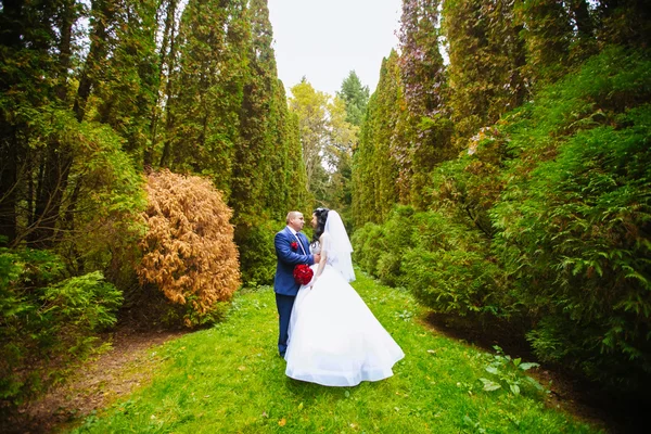 Noivo e noiva estão de mãos dadas no fundo verde floresta — Fotografia de Stock