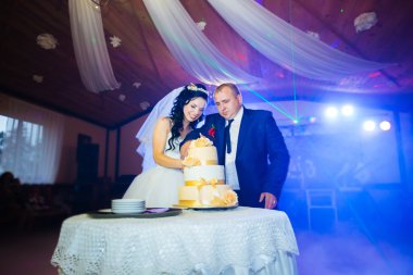 Düğün Resepsiyonunda Gelin ve Damat Düğün Pastasını Kesiyor