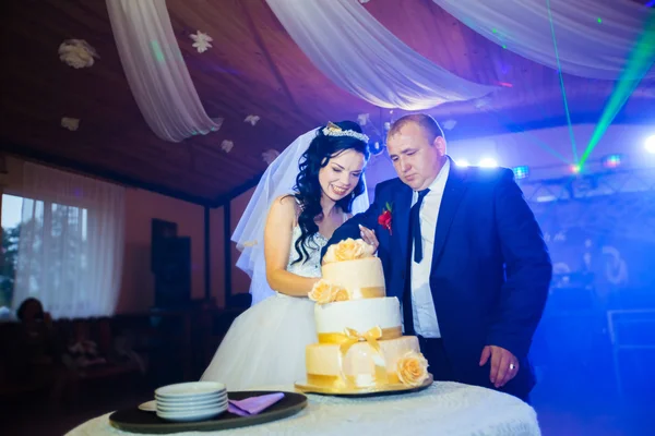 Braut und Bräutigam schneiden Hochzeitstorte beim Empfang — Stockfoto