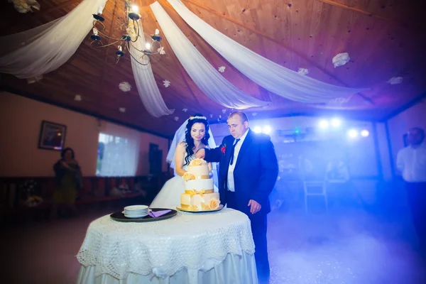 Braut und Bräutigam schneiden die Hochzeitstorte an — Stockfoto