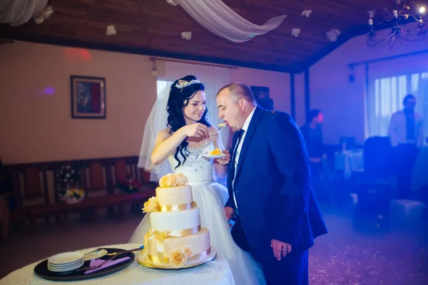 Happy bride and groom cut the wedding cake — Stock Photo, Image