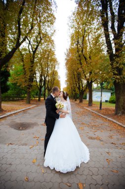 wedding couple. Beautiful bride and groom. Just married. Close up. Happy bride and groom on their wedding hugging. Groom and Bride in a park. wedding dress. Bridal wedding, autumn