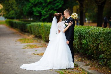 Düğün iki gün batımında dağlarda bir orman içinde