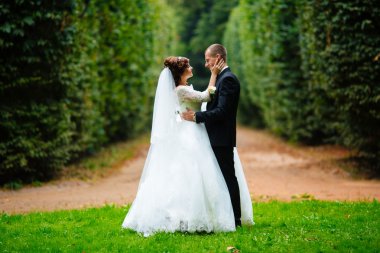 wedding couple. Beautiful bride and groom. Just married. Close up. Happy bride and groom on their wedding hugging. Groom and Bride in a park. wedding dress. Bridal wedding, autumn