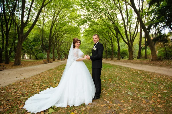 Gelin ve damat sonbahar doğa üzerinde açık havada yürüyüş gün düğününde. Gelin çift, mutlu yeni evli kadın ve yeşil park kucaklayan adam. Sevgi dolu evlilik çift açık. — Stok fotoğraf