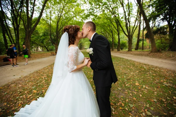 Wedding couple. Beautiful bride and groom. Just married. Close up. Happy bride and groom on their wedding hugging. Groom and Bride in a park. wedding dress. Bridal wedding, autumn — 图库照片