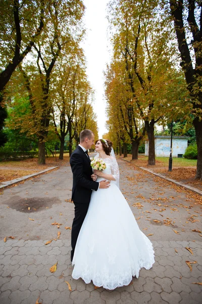 Wedding couple. Beautiful bride and groom. Just married. Close up. Happy bride and groom on their wedding hugging. Groom and Bride in a park. wedding dress. Bridal wedding, autumn — ストック写真