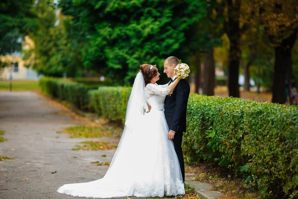 Wedding couple. Beautiful bride and groom. Just married. Close up. Happy bride and groom on their wedding hugging. Groom and Bride in a park. wedding dress. Bridal wedding, autumn — 图库照片