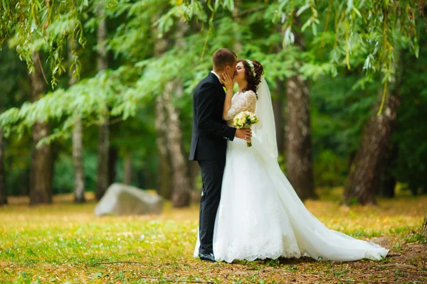 Wedding couple. Beautiful bride and groom. Just married. Close up. Happy bride and groom on their wedding hugging. Groom and Bride in a park. wedding dress. Bridal wedding, autumn — Stok fotoğraf