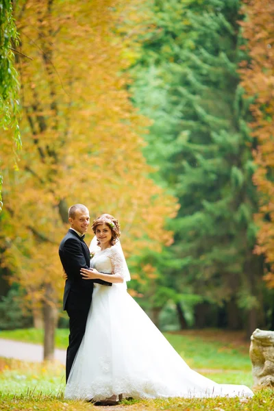 Coppia di nozze. Bellissimi sposi. Appena sposata. Chiudete. Buoni sposi che si abbracciano al loro matrimonio. Sposo e sposa in un parco. abito da sposa. Matrimonio nuziale, autunno — Foto Stock