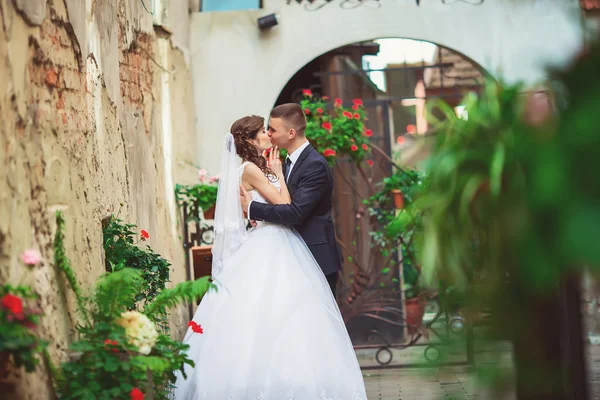 Casal amoroso beijando em Lviv — Fotografia de Stock