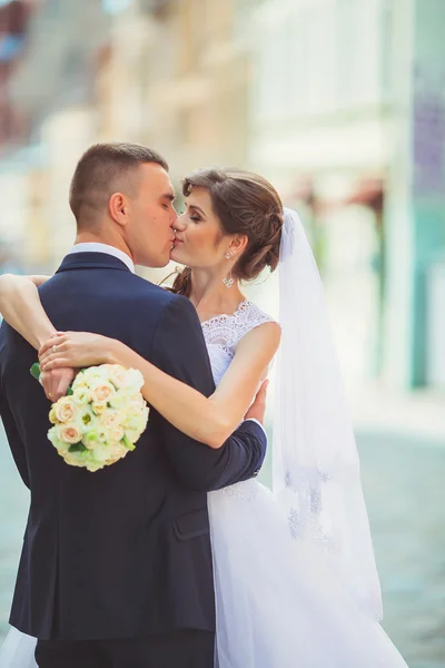 Kyssa bruden, bröllop dag schaslyviu — Stockfoto