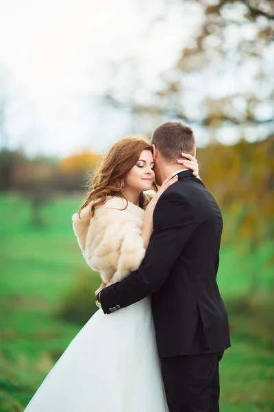 Preciosa pareja enamorada besándose el día de la boda incluso están parados en el parque al aire libre - copyspace — Foto de Stock