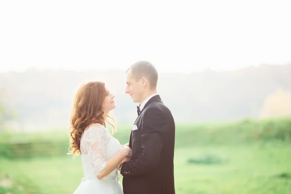 La boda - la novia hermosa joven y el novio de pie en un parque al aire libre de la mano y sonriendo — Foto de Stock