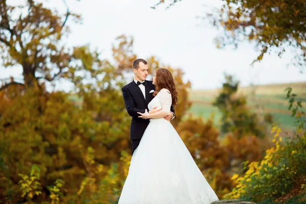 Couple de mariage dans une forêt à la montagne au coucher du soleil — Photo