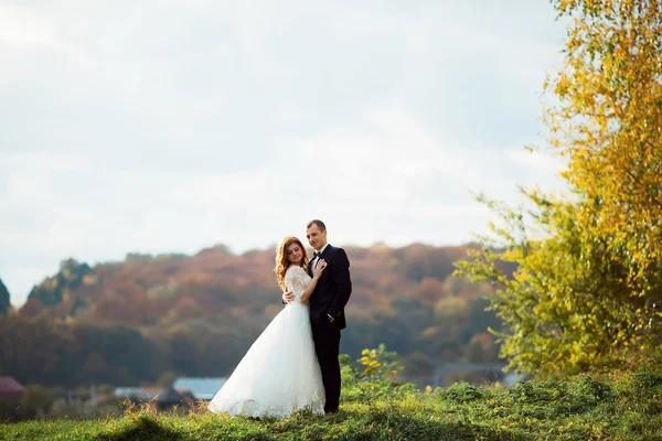 Fine Art Foto eines attraktiven Hochzeitspaares — Stockfoto