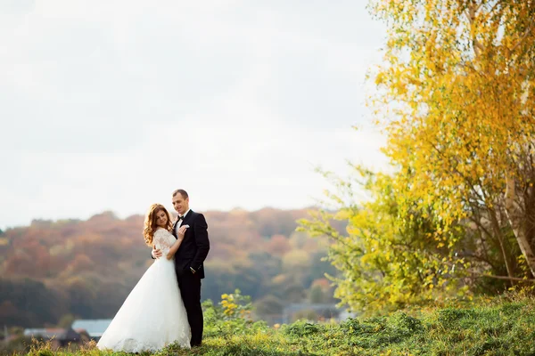 Matrimonio a Tivoli vicino a Roma coppia felice che si tiene per mano — Foto Stock