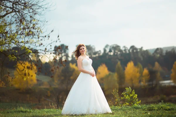 Mariée beauté en robe de mariée avec bouquet et voile de dentelle sur la nature. Belle fille modèle dans une robe de mariée blanche. Portrait de femme dans le parc. Femme avec coiffure. Dame mignonne en plein air — Photo