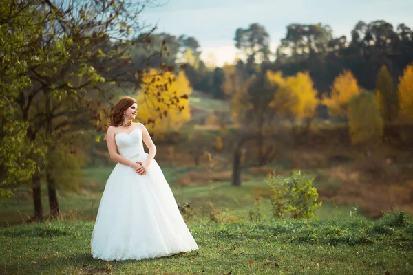 Retrato de una novia en un vestido blanco — Foto de Stock