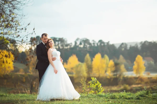 Jeune couple de mariage profitant de moments romantiques à l'extérieur sur une prairie d'été — Photo