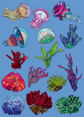 Okyanus sualtı yaban hayatı ve bitki örtüsünün vektör çizimleri: çeşitli renkli jöle balıkları, su bitkileri, mercanlar, süngerler. Yaz tatilleri, gezi havası, parlak renkler. Özel tasarım, baskı ve çıkartmalar için el çizimleri.