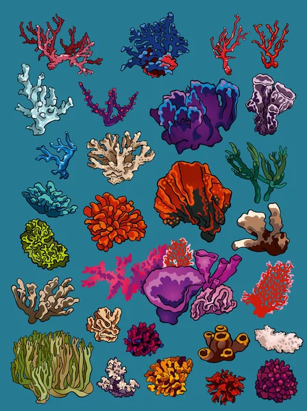 Conjunto Ilustraciones Vectoriales Fauna Flora Submarinas Del Océano Varias Plantas — Archivo Imágenes Vectoriales