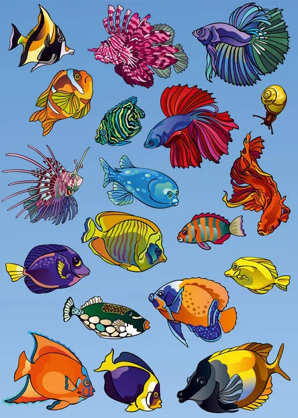 바다에 생물의 삽화들 색깔의 물고기와 달팽이 방학이나 손으로 인쇄물 스티커 — 스톡 벡터