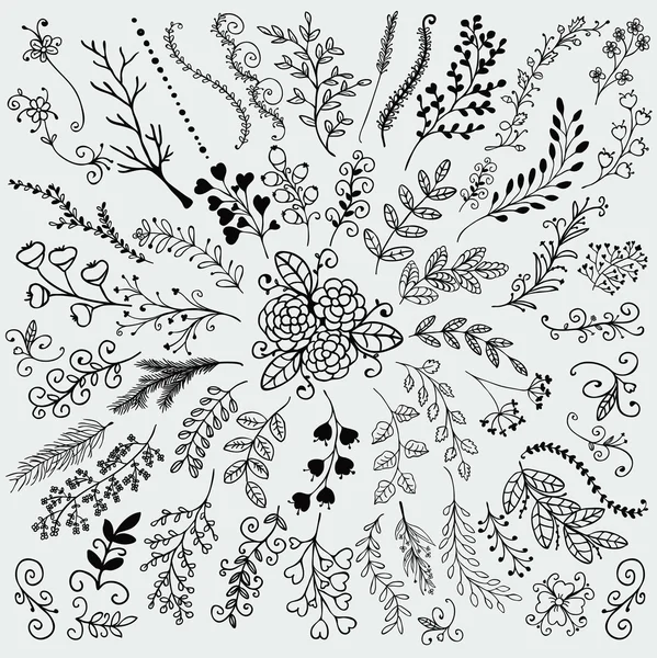 Vector Hand Sketched Rustic Floral Doodle Branches — Stock Vector