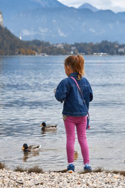 Küçük kız gölde ördek besliyor..