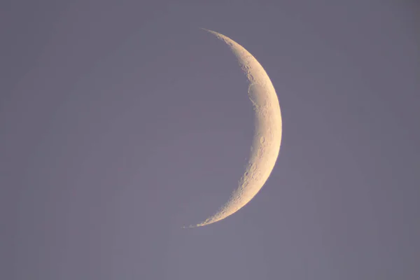Jeune Lune Photographiée Travers Long Télescope Focal — Photo