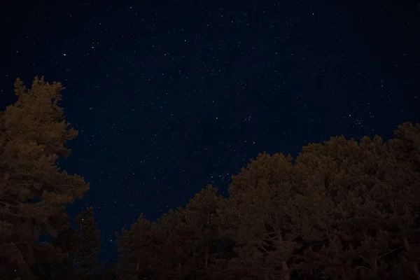 은하의 하늘은 떨어진 교외의 어두운 곳에서 노출로 사진을 찍었다 — 스톡 사진