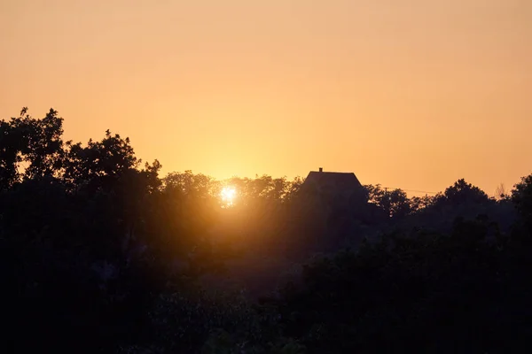 Złote Kolory Zachodu Słońca Letnimi Sylwetkami — Zdjęcie stockowe