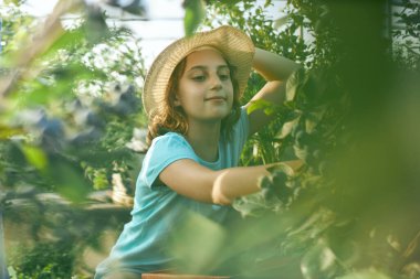 Aile çiftliğinde böğürtlen dolu bir kutuyla küçük bir kız, iş konsepti, yaz işi ve genç yaştan itibaren sorumluluk almak..