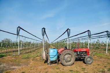 Kiraz tarlasında spreyli traktör..