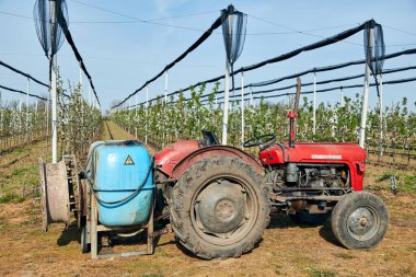 Kiraz tarlasında spreyli traktör..