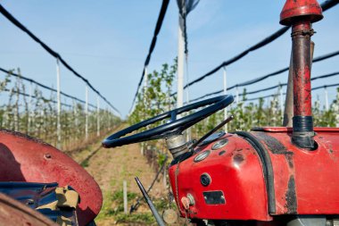 Kiraz tarlasında eski model traktör..